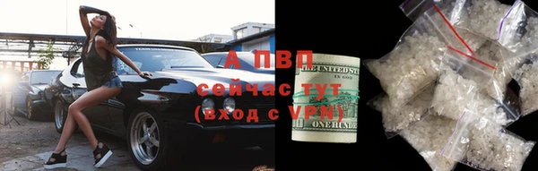 спиды Пересвет
