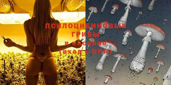гидра Осташков