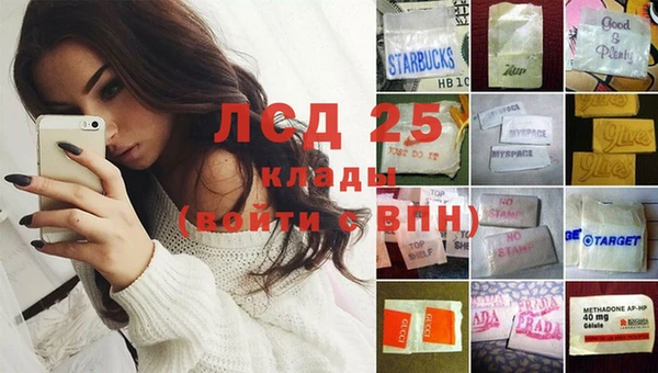 ГАЛЛЮЦИНОГЕННЫЕ ГРИБЫ Остров