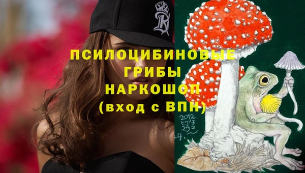 спиды Осинники