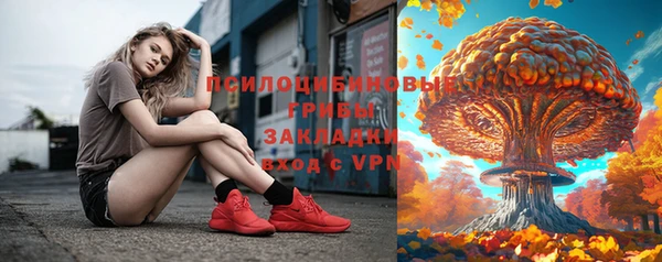 спиды Осинники