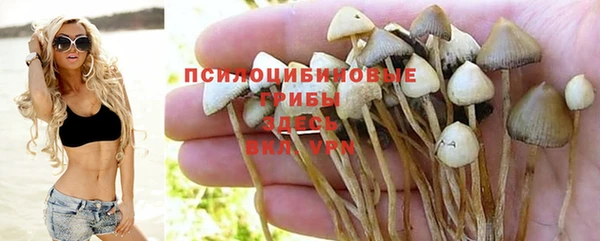спиды Осинники