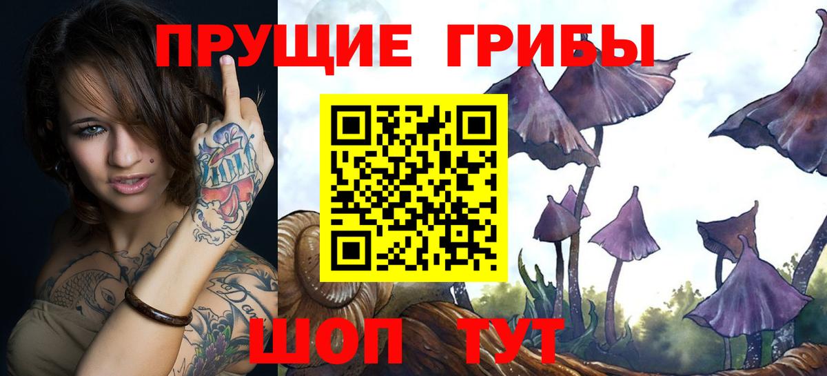 Галлюциногенные грибы Psilocybe  Вход с VPN  Уфа 