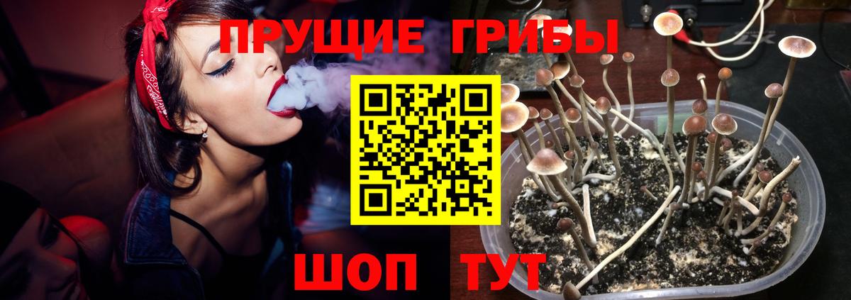 Галлюциногенные грибы мицелий Уфа